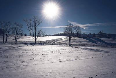 Landscapes Photos - Blazing Winter Sun by Jim Love