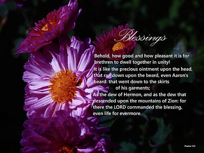 Blooming Daisies - Blessings by Dennis Burton