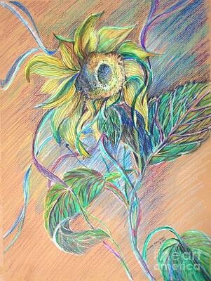 Sunflowers Drawings - Blowing in the Wind by Mindy Newman