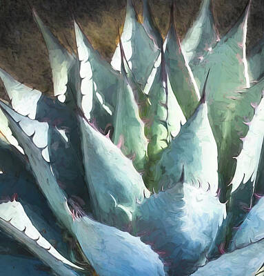 Abstract Dining Rights Managed Images - Blue Agave Abstract Royalty-Free Image by Rebecca Herranen