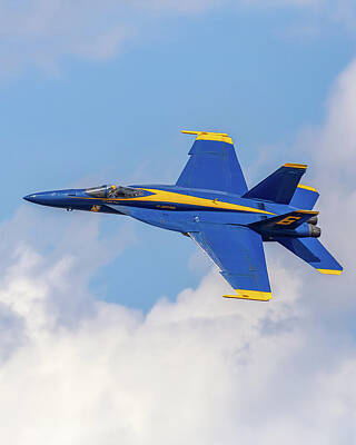 Floral Patterns Rights Managed Images - Blue Angels - Beaufort South Carolina 6 Royalty-Free Image by Steve Rich