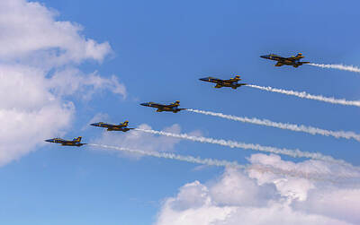 Gifts For Dad - Blue Angels - Beaufort South Carolina  by Steve Rich
