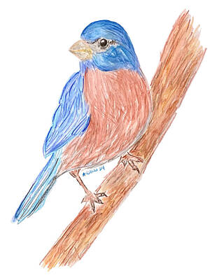 Birds Painting Rights Managed Images - Blue Bird Royalty-Free Image by Angela Deiss