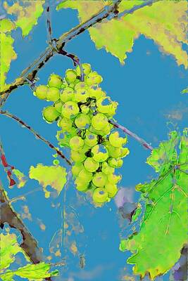 Female Figure Drawings - Blue Hanging Green Grapes  by Cathy Lindsey