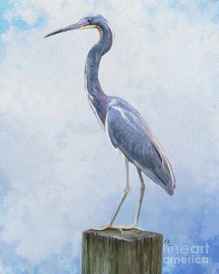 Tammy Lee Bradley Royalty-Free and Rights-Managed Images - Blue Heron by Tammy Lee Bradley