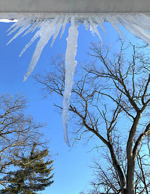 Stunning 1x - Blue Skies Winter Trees and Icicles by Kathy Birkett