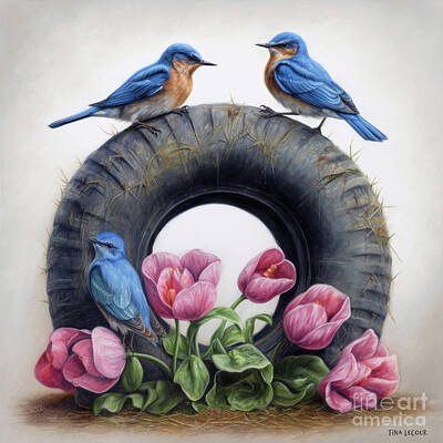 Birds Royalty-Free and Rights-Managed Images - Bluebirds On The Tire by Tina LeCour