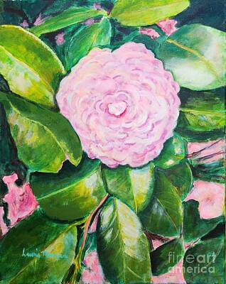 Chinese New Year - Blush Pink Camellia by Laurie Morgan