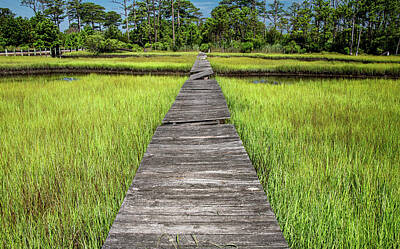 All American - Boardwalk Over the Marsh by Marcy Wielfaert