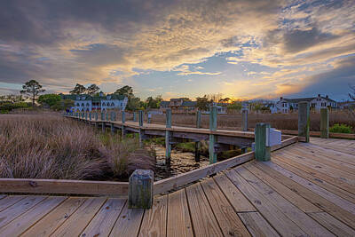 Grateful Dead Royalty Free Images - Boardwalk through the Marshes II Royalty-Free Image by Claudia Domenig