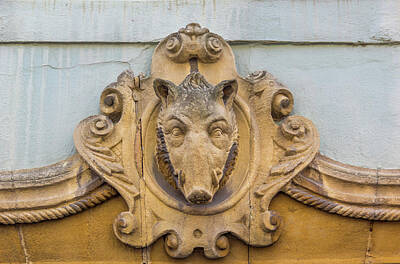 Spot Of Tea Rights Managed Images - Boars Head Capstone Royalty-Free Image by Teresa Mucha
