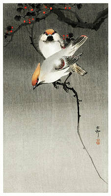 Music Paintings - Bohem an waxw ng b rds  1900 1930  by Ohara Koson  1877 1945   Or g nal from The R jksmuseum by Romed Roni