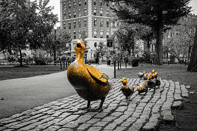 Boho Christmas - Boston Public Gardens Ducklings In Selective Color by Gregory Ballos