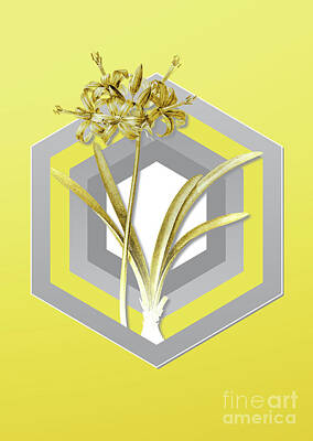 Royalty-Free and Rights-Managed Images - Botanical Guernsey Lily in Gray and Yellow Gradient n.068 by Holy Rock Design
