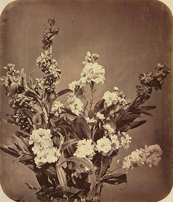 Ethereal - Bouquet c. 1855 Adolphe Braun by MotionAge Designs