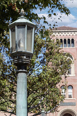 Amy Hamilton Animal Collage - Bovard Administration Building and Pole  by John McGraw