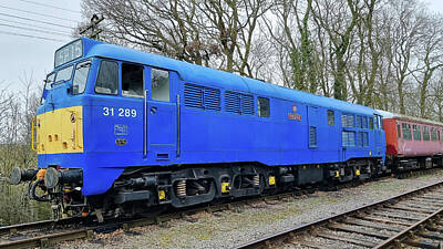 Moody Trees - BR Class 31 Diesel Locomotive 31289 at the Northampton and Lamport Railway by Gordon James