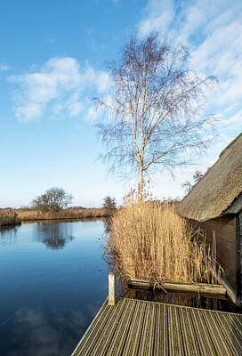 For The Cat Person Royalty Free Images - Broads boat shed Royalty-Free Image by Chris Yaxley