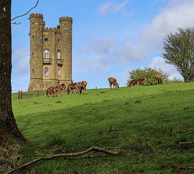 Fantasy Photos - Broadway Tower Cotswolds by Martin Fenton