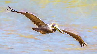 Mammals Mixed Media - Brown Pelican Flyby by Carol Fox Henrichs