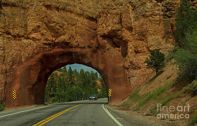 Abstract Male Faces - Bryce Canyon Tunnel-Signed-#5552 by J L Woody Wooden