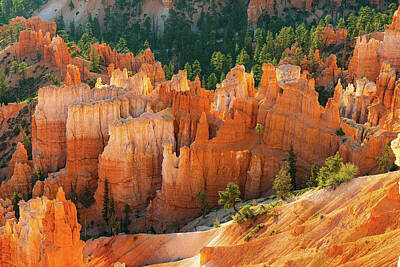 Portraits Royalty-Free and Rights-Managed Images - Bryce Hoodoo Portrait at Dawn 5 by Ron Long Ltd Photography