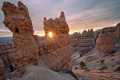Royalty-Free and Rights-Managed Images - Bryce Hoodoos by Steve Berkley