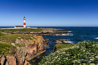 Easter Egg Stories For Children Royalty Free Images - Buchan Ness Lighthouse Royalty-Free Image by Nando Lardi