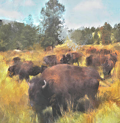 Modern Kitchen - Buffalo in custer State Park by Cathy Anderson
