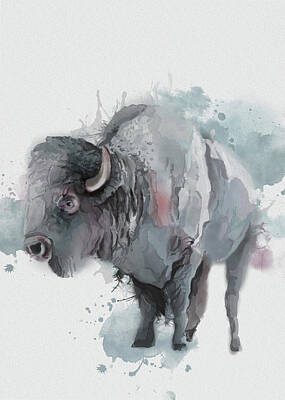 Mammals Digital Art - Buffalo Watercolor Artistic by Bekim M