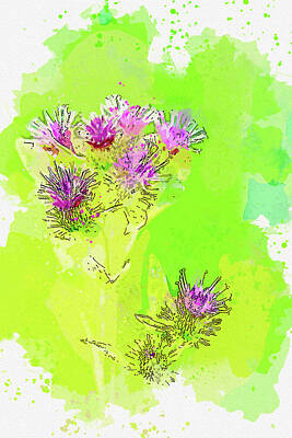 Royalty-Free and Rights-Managed Images - .Burdocks by Celestial Images