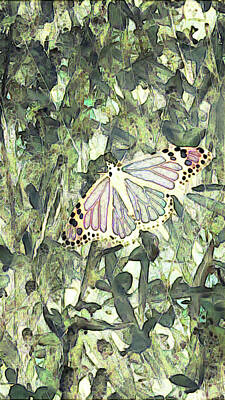 Animals And Earth Rights Managed Images - Butterfly #2 Royalty-Free Image by Freddy Alsante