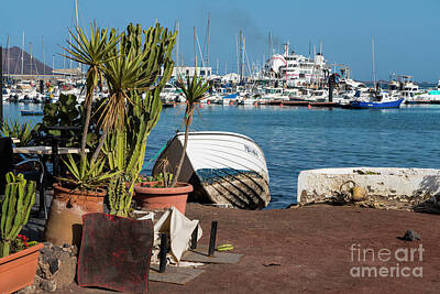 Spot Of Tea - Cactus and Boats  by Rob Hawkins