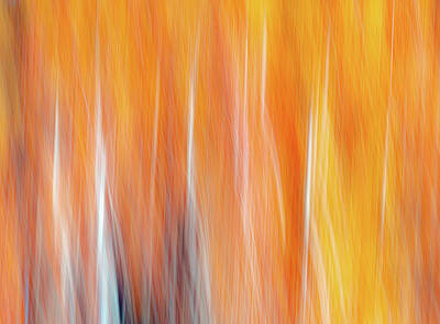 Presidential Portraits - Caddo Abstract 167 by David Downs