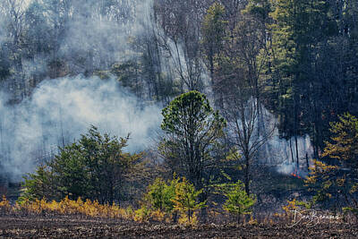 Dan Beauvais Royalty-Free and Rights-Managed Images - Cades Cove Burn 1579 by Dan Beauvais