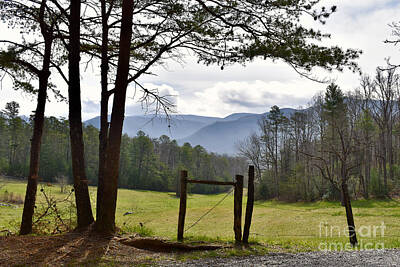Happy Birthday Rights Managed Images - Cades Cove Vista Royalty-Free Image by Ron Long