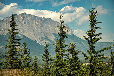 Travel Royalty Free Images - Calgary Landscape Royalty-Free Image by Joann Long