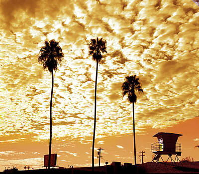 The Bunsen Burner - California Sunset With Palm Trees by Larry Butterworth