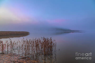 Royalty-Free and Rights-Managed Images - Calm morning 7 by Veikko Suikkanen