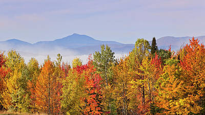 Curated Travel Chargers - Camels Hump Autumn by Alan L Graham