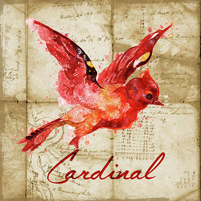 Birds Mixed Media - Cardinal by Brandi Fitzgerald