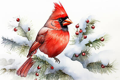 Birds Royalty-Free and Rights-Managed Images - Cardinal on a Winter Branch by Lourry Legarde