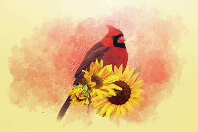 Recently Sold - Sunflowers Mixed Media - Cardinal on Sunflowers by Patti Deters