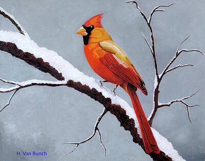 Birds Paintings - Cardinal by Van Bunch