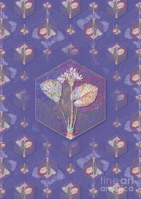 Beach House Shell Fish - Cardwell Lily Geometric Mosaic Pattern in Veri Peri n.0108 by Holy Rock Design