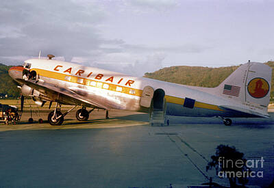 Woodland Animals - Caribair Airlines C-47A-DL N79044 by Wernher Krutein
