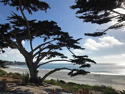 Royalty-Free and Rights-Managed Images - Carmel Beach by Luisa Millicent