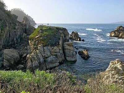 Rights Managed Images - Carmel View Point Lobos Royalty-Free Image by Luisa Millicent