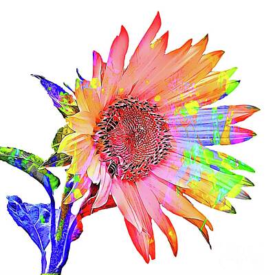 Sunflowers Mixed Media - Cartoon Colorful Sunflower  by Daniel Janda