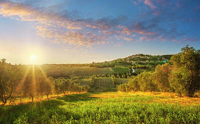 Aretha Franklin - Casale Marittimo village and olive grove by Stefano Orazzini